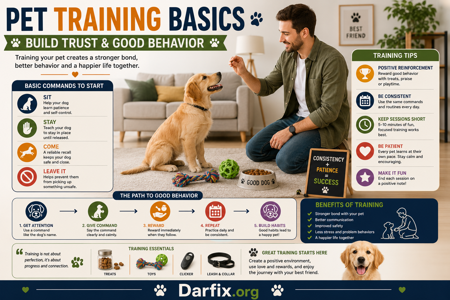 Pet Training Basics: How To Teach Your Dog Good Behavior - Darfix