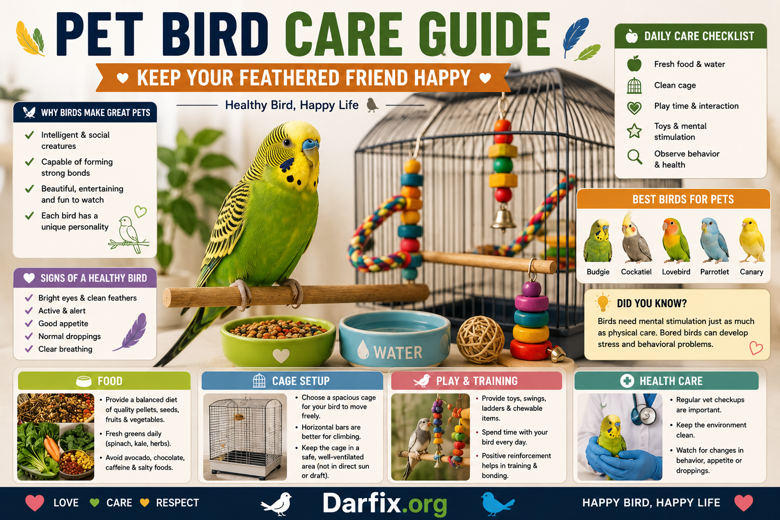 Pet Bird Care Guide: How To Keep Your Feathered Friend Happy And Healthy - Darfix